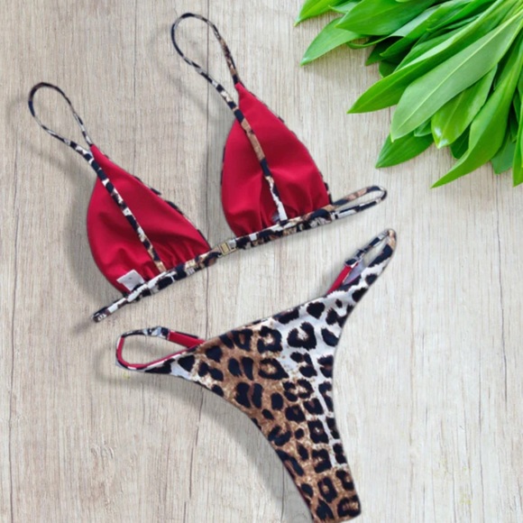 Leopard swim - Picture 2 of 2